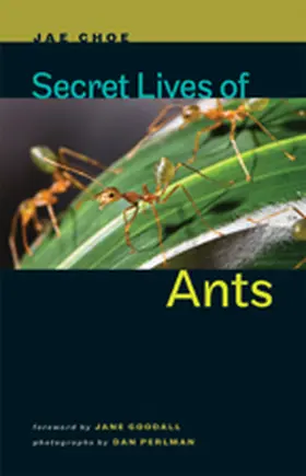 Choe | Secret Lives of Ants | E-Book | www.sack.de