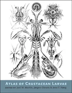 Martin / Olesen / Høeg | Atlas of Crustacean Larvae | Buch | 978-1-4214-1197-2 | www.sack.de