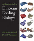 Nabavizadeh / Weishampel |  An Illustrated Guide to Dinosaur Feeding Biology | Buch |  Sack Fachmedien