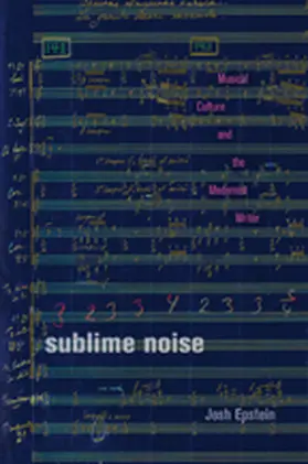Epstein |  Sublime Noise | Buch |  Sack Fachmedien