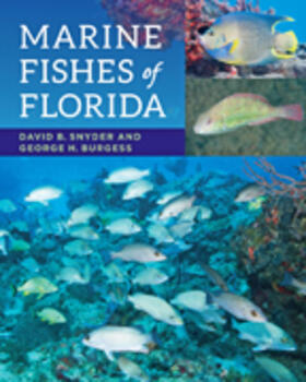 Snyder / Burgess | Marine Fishes of Florida | Buch | 978-1-4214-1872-8 | sack.de