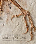 Chiappe / Qingjin |  Birds of Stone | Buch |  Sack Fachmedien