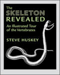 Huskey |  The Skeleton Revealed: An Illustrated Tour of the Vertebrates | Buch |  Sack Fachmedien