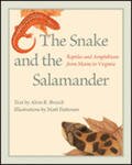 Breisch |  The Snake and the Salamander: Reptiles and Amphibians from Maine to Virginia | Buch |  Sack Fachmedien