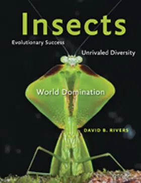 Rivers |  Insects | Buch |  Sack Fachmedien