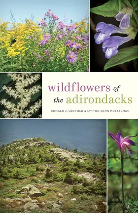 Leopold / Musselman |  Wildflowers of the Adirondacks | Buch |  Sack Fachmedien