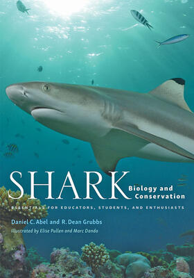 Abel / Grubbs | Shark Biology and Conservation: Essentials for Educators, Students, and Enthusiasts | Buch | 978-1-4214-3836-8 | sack.de