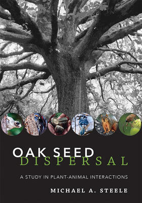 Steele |  Oak Seed Dispersal | Buch |  Sack Fachmedien