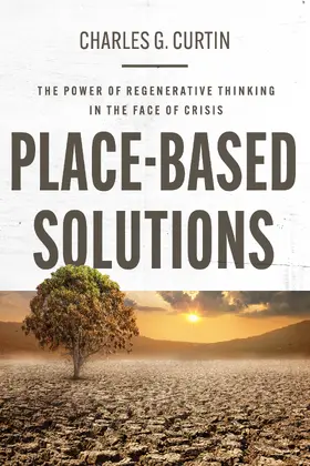 Curtin |  Place-Based Solutions | Buch |  Sack Fachmedien