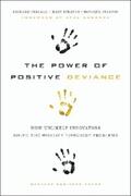 Pascale / Sternin |  The Power of Positive Deviance | eBook | Sack Fachmedien