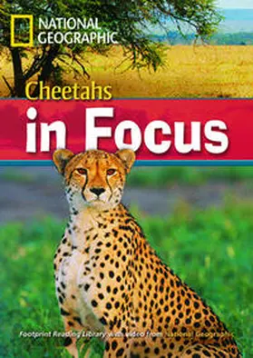 Waring |  Cheetahs in Focus | Buch |  Sack Fachmedien