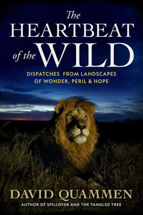 Quammen |  The Heartbeat of the Wild | Buch |  Sack Fachmedien