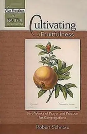 Schnase |  Cultivating Fruitfulness | eBook | Sack Fachmedien
