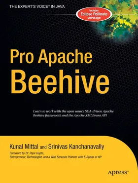 Kanchanavally / Mittal | Pro Apache Beehive | E-Book | sack.de