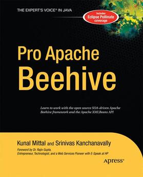 Mittal / Kanchanavally | Pro Apache Beehive | Buch | 978-1-4302-1189-1 | sack.de