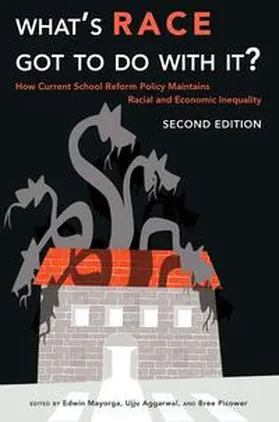 Mayorga / Aggarwal / Picower |  What’s Race Got To Do With It? | eBook | Sack Fachmedien