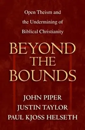 Piper / Taylor / Helseth |  Beyond the Bounds | eBook | Sack Fachmedien
