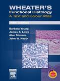 Young / Stevens |  Wheater's Functional Histology | eBook | Sack Fachmedien