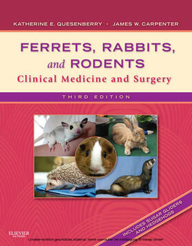Quesenberry | Ferrets, Rabbits and Rodents | E-Book | sack.de