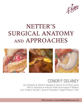 Delaney | Netter's Surgical Anatomy and Approaches | Buch | 978-1-4377-0833-2 | sack.de