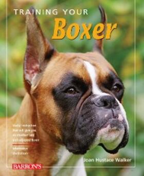 Hustace Walker |  Training Your Boxer | eBook | Sack Fachmedien