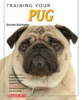 Belmonte |  Training Your Pug | eBook | Sack Fachmedien