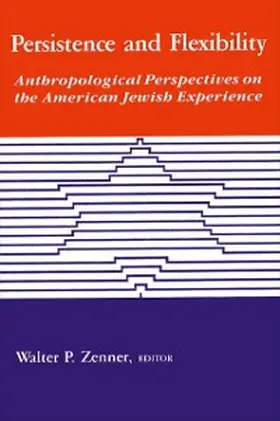 Zenner |  Persistence and Flexibility | eBook | Sack Fachmedien