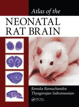 Ramachandra / Subramanian |  Atlas of the Neonatal Rat Brain | Buch |  Sack Fachmedien
