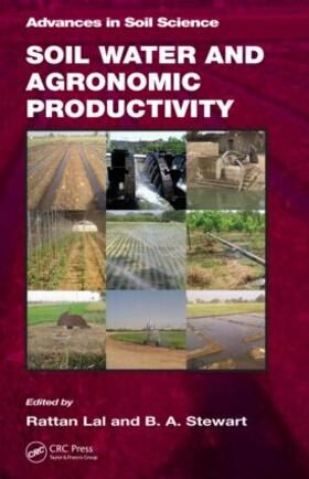 Lal / Stewart | Soil Water and Agronomic Productivity | Buch | 978-1-4398-5079-4 | sack.de