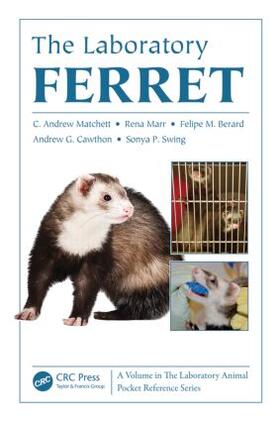 Matchett / Marr / Berard | The Laboratory Ferret | Buch | 978-1-4398-6181-3 | sack.de