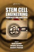 Schaffer / Bronzino / Peterson |  Stem Cell Engineering | Buch |  Sack Fachmedien