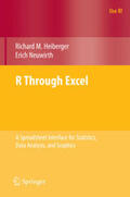 Heiberger / Neuwirth |  R Through Excel | eBook | Sack Fachmedien