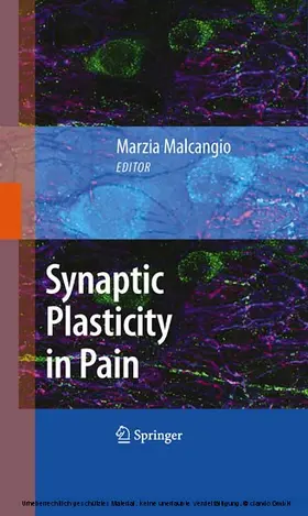 Malcangio | Synaptic Plasticity in Pain | E-Book | www.sack.de