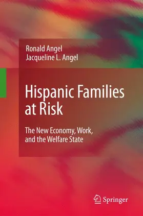 Angel | Hispanic Families at Risk | Buch | 978-1-4419-0473-7 | www.sack.de