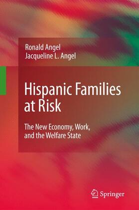Angel | Hispanic Families at Risk | Buch | 978-1-4419-0473-7 | sack.de