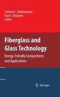 Wallenberger / Bingham |  Fiberglass and Glass Technology | Buch |  Sack Fachmedien