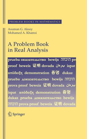 Aksoy / Khamsi |  A Problem Book in Real Analysis | eBook | Sack Fachmedien