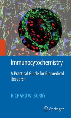Burry | Immunocytochemistry | Buch | 978-1-4419-1303-6 | sack.de
