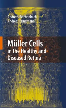 Bringmann / Reichenbach |  Müller Cells in the Healthy and Diseased Retina | Buch |  Sack Fachmedien