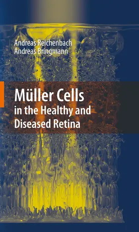 Reichenbach / Bringmann |  Müller Cells in the Healthy and Diseased Retina | eBook | Sack Fachmedien