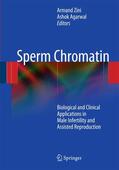 Agarwal / Zini |  Sperm Chromatin | Buch |  Sack Fachmedien