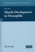 Sink |  Muscle Development in Drosophilia | Buch |  Sack Fachmedien