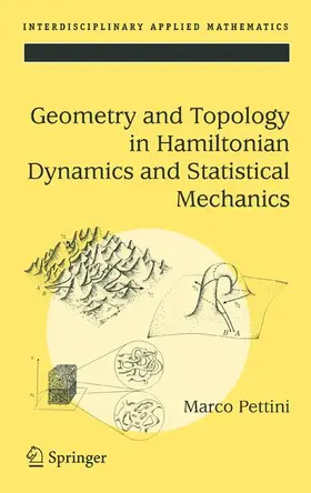 Pettini | Geometry and Topology in Hamiltonian Dynamics and Statistical Mechanics | Buch | 978-1-4419-2164-2 | sack.de