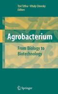 Citovsky / Tzfira |  Agrobacterium: From Biology to Biotechnology | Buch |  Sack Fachmedien