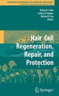 Fay / Salvi |  Hair Cell Regeneration, Repair, and Protection | Buch |  Sack Fachmedien