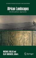 Bubenzer / Bollig |  African Landscapes | Buch |  Sack Fachmedien