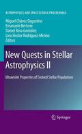 Chavez Dagostino / Rodriguez-Merino / Bertone |  New Quests in Stellar Astrophysics II | Buch |  Sack Fachmedien