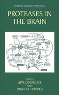 Hooper / Lendeckel |  Proteases in the Brain | Buch |  Sack Fachmedien