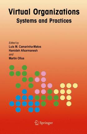 Camarinha-Matos / Ollus / Afsarmanesh | Virtual Organizations | Buch | 978-1-4419-3657-8 | sack.de