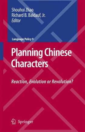 Baldauf / Zhao | Planning Chinese Characters | Buch | 978-1-4419-4306-4 | sack.de